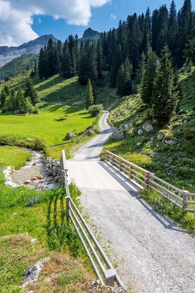 Krásné horské krajiny v létě v Alpách, Švýcarsko Stock Fotografie