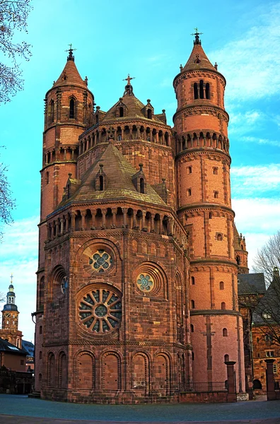 New-Romanesque Cathedral — Stock Photo, Image