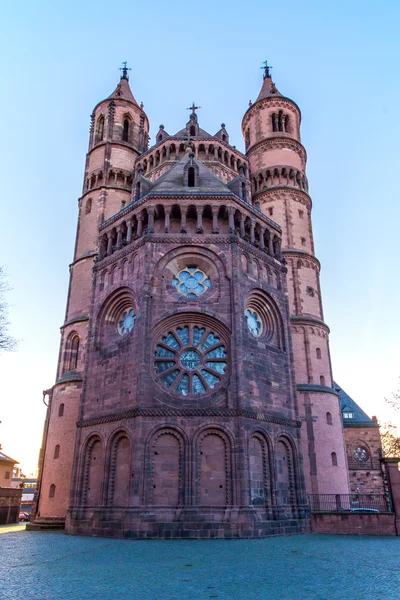 Catedral Nueva Románica en Worms, Wormser Dom — Foto de Stock