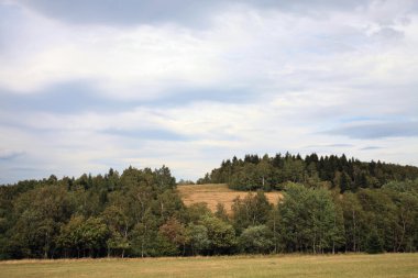 Çayır üzerinde kara bulutlar.
