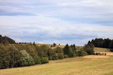 Çayır üzerinde kara bulutlar.