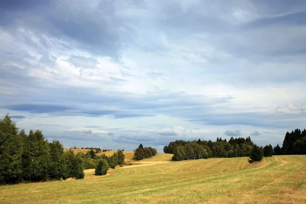 Dunkle Wolken über der Wiese. — Stockfoto