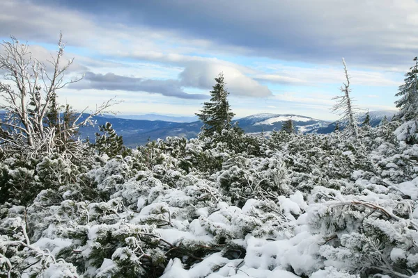 Riesengebirge Riesengebirge Berühmte Gebirgsjäger Polen Und Tschechien Winterlandschaft Auf Rotem — Stockfoto