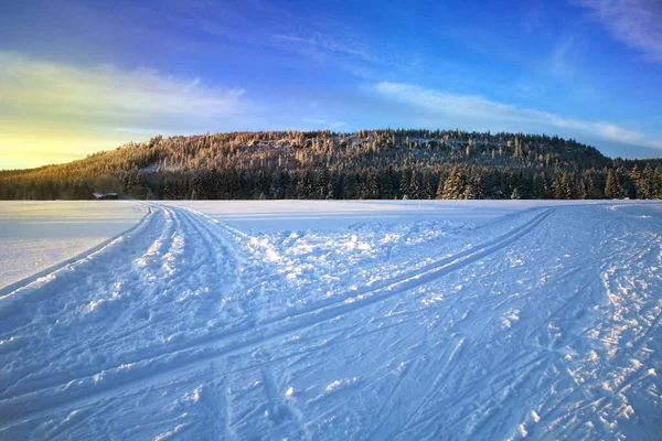 Langlauf Zauberhafter Start Einen Neuen Tag Auf Den Wiesen Des — Stockfoto