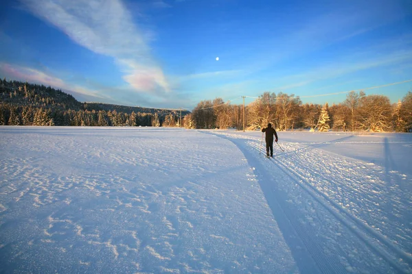 Langlauf Zauberhafter Start Einen Neuen Tag Auf Den Wiesen Des — Stockfoto