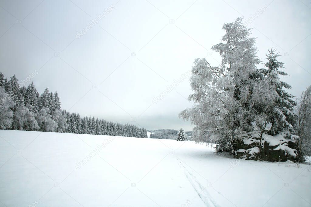 Cross country skiing. A cloudy, winter day in the meadows of the Stolowe Mountains National Park in Poland. Wonderfully frosted trees.