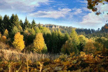 Polonya 'nın Pasterka köyünden Stolowe Dağları' nın zirvesine sonbahar manzarası. Szczeliniec Wielki, Büyük Szczeliniec. 