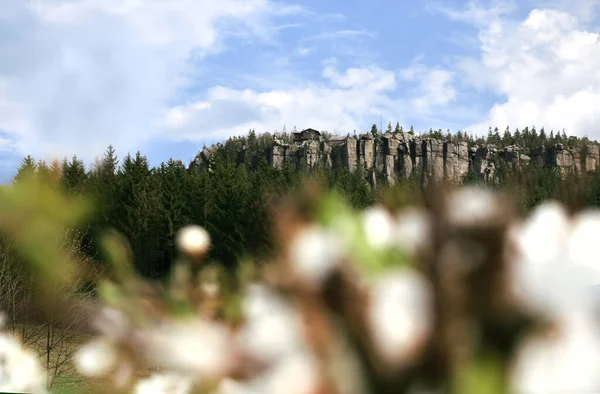 Grande Szczeliniec Pico Nas Montanhas Stolowe Polônia Sebe Florescendo Com — Fotografia de Stock