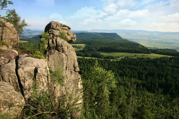 Widok Wielkiego Szczelińca Szczeliniec Wielki Najwyższy Szczyt Gór Stołowych Czeskiej — Zdjęcie stockowe