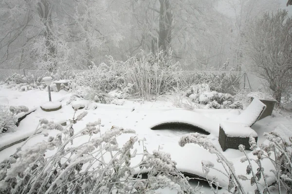 Ein Hinterhof Bauerngarten Mit Schnee Bedeckt Stauden Winterschlaf — Stockfoto