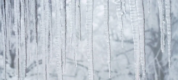 Ijspegels Hangen Het Dak Winter Natuur Abstracte Kunst Fysisch Fenomeen — Stockfoto
