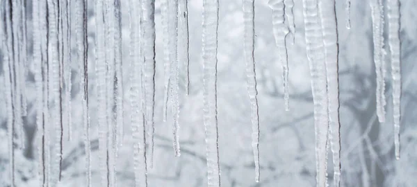 Ящірки Звисають Даху Зимова Природа Абстрактне Мистецтво Фізичне Явище Тверда Стокове Фото