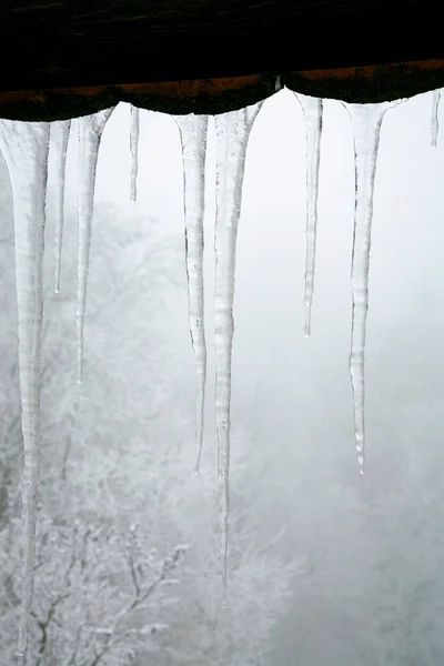 Ciclos Pendurados Telhado Natureza Inverno Arte Abstrata Fenômeno Físico Forma Imagens De Bancos De Imagens Sem Royalties
