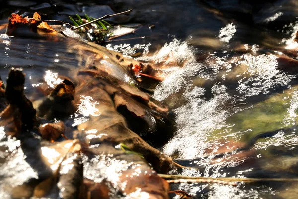 Forest Hill Mountains Thaw Early Spring — Zdjęcie stockowe