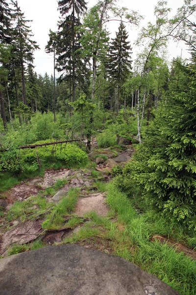 Bergpfad in Tafelbergen, Polen — Stockfoto