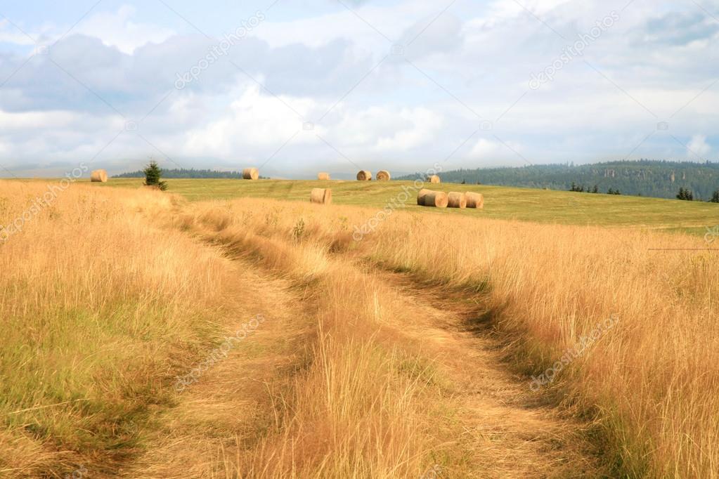 Meadow in Pasterka by sunrise