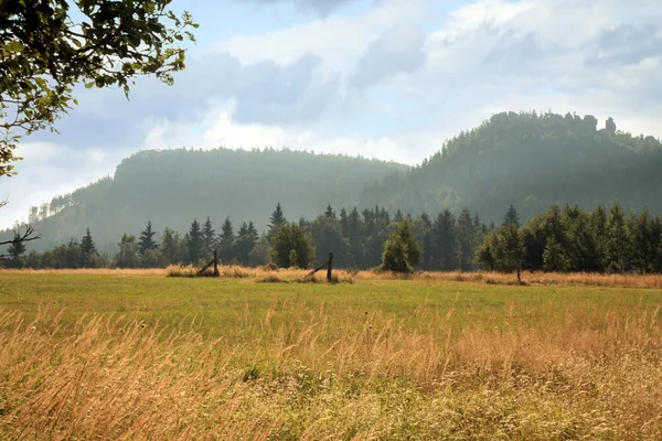 Hoogteweg op weide — Stockfoto