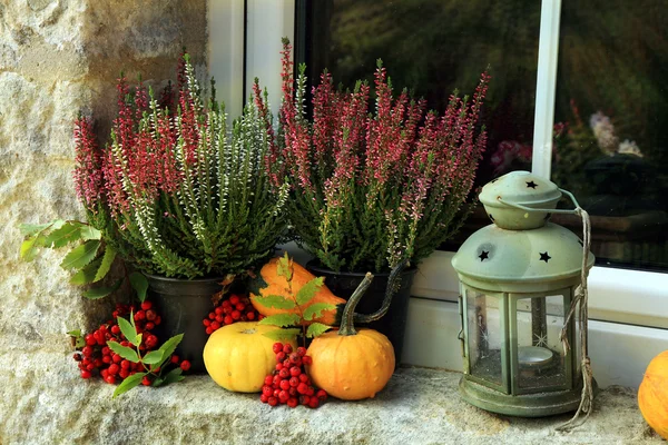 Kabak, heathers ve fener, küçük dekorasyon. Cadılar Bayramı. — Stok fotoğraf