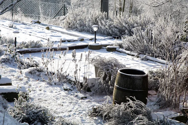 Jardín rústico en invierno . —  Fotos de Stock
