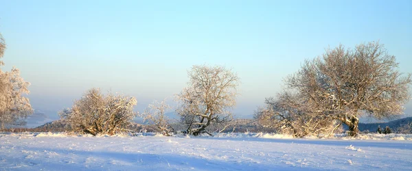 Winter meadow in Polish Sudetes — Stock Photo, Image