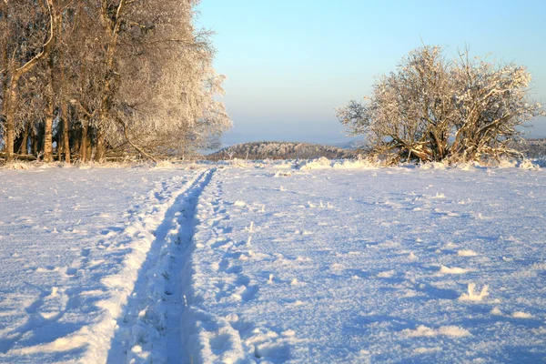 Pista de esqui de fundo e prado de inverno — Fotografia de Stock