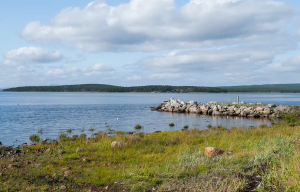 The shore of White Sea — Stock Photo, Image