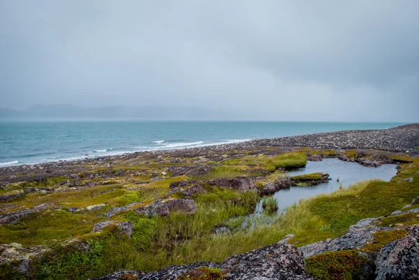 A costa do Mar de Barents — Fotografia de Stock