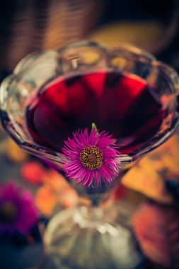 Aromatik alkol Kupası tentür chokeberry