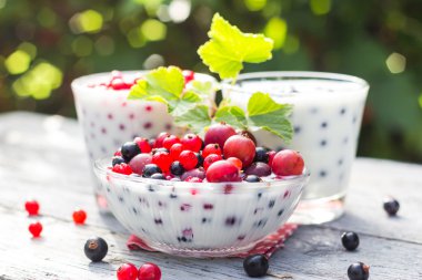 Bahar bahçe kokteyller kuş üzümü meyve