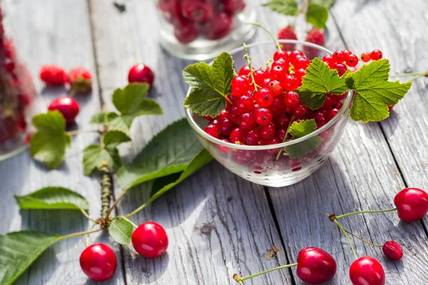 Frisch gepflückte Früchte Johannisbeeren Kirschen Tisch — Stockfoto