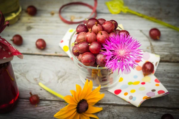 Verão sobremesa de madeira fruta groselha espinhosa bebidas coloridas — Fotografia de Stock