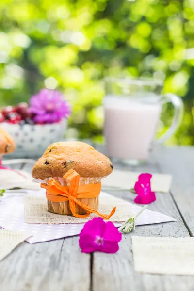 Verano muffins jardín cóctel de frutas —  Fotos de Stock