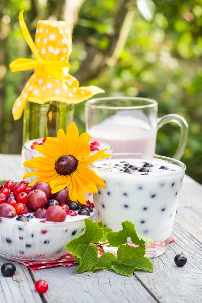 Cocktails de jardin de printemps groseilles aux fruits — Photo