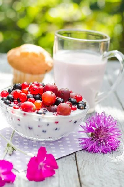 Сніданок Сад плоди смородини агрусу масломолоко — стокове фото