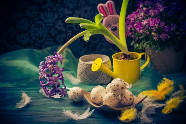 Húsvéti összetétele Jácint húsvéti tojás tollak — Stock Fotó