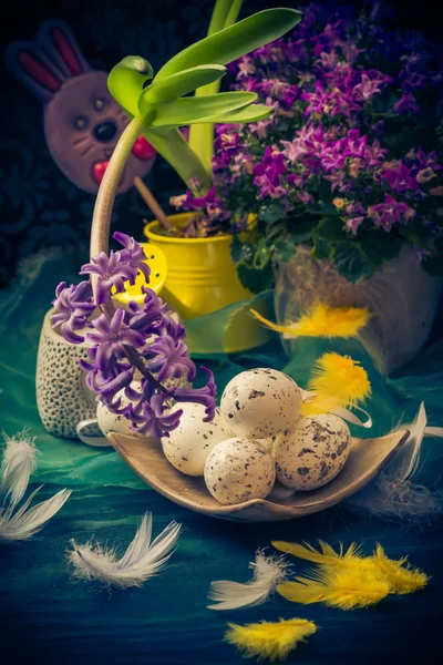 Easter composition hyacinth Easter eggs feathers — Stock Photo, Image