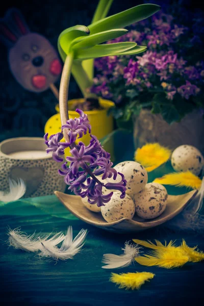 Easter composition hyacinth Easter eggs feathers — Stock Photo, Image