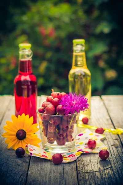 Verão sobremesa jardim fruta groselha espinhosa bebidas coloridas — Fotografia de Stock