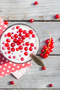 Ayran meyve kırmızı Frenk üzümü tablo Bahçe