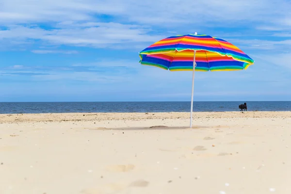 Parasol coloré plage ensoleillée — Photo