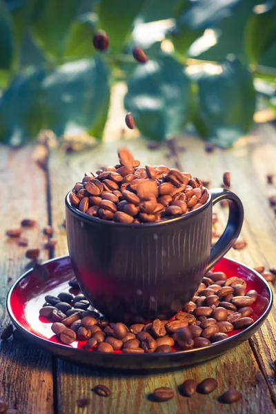 Feijão marrom derramando xícara de café — Fotografia de Stock