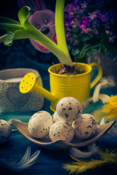 Easter composition hyacinth Easter eggs feathers — Stock Photo, Image