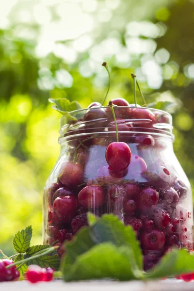 Botol kaca penuh buah ceri dan raspberry — Stok Foto