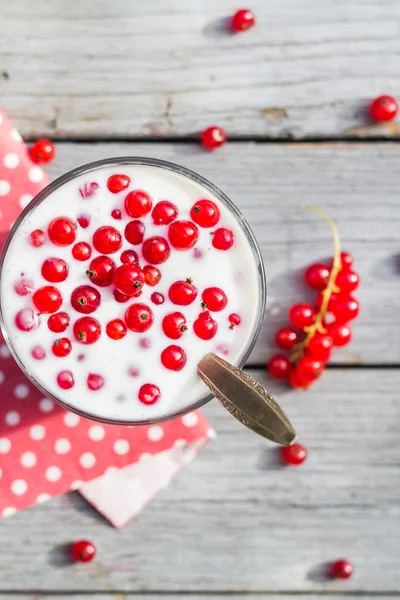 Ayran meyve kırmızı Frenk üzümü tablo Bahçe