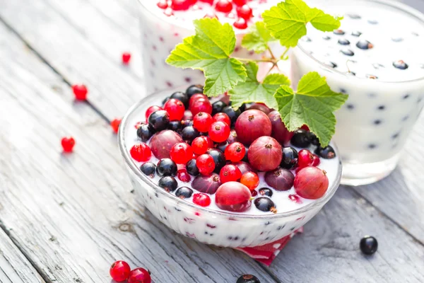 Cocktails de jardin de printemps groseilles aux fruits — Photo