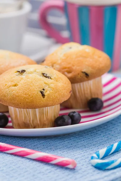 Dolci deliziosi muffin mirtilli rossi frutta — Foto Stock