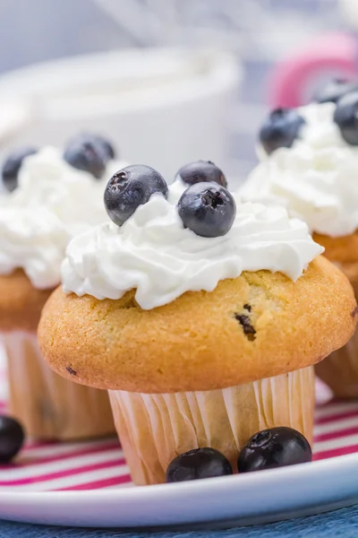 Dolce deliziosa crema di muffin mirtilli rossi — Foto Stock