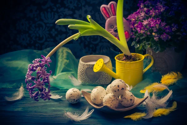 Easter composition hyacinth Easter eggs feathers — Stock Photo, Image