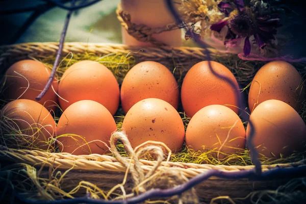 Pasen samenstelling Pasen eieren mystieke licht — Stockfoto