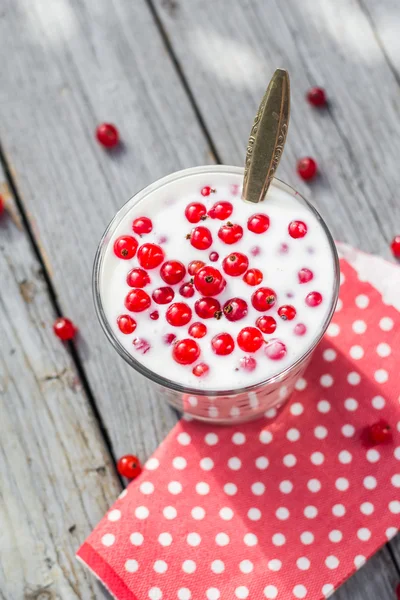 Buttermilch Früchte rote Johannisbeere Tisch Garten — Stockfoto